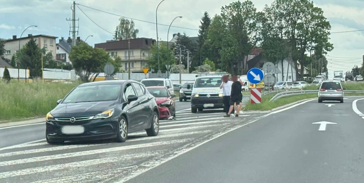 Zdjęcie