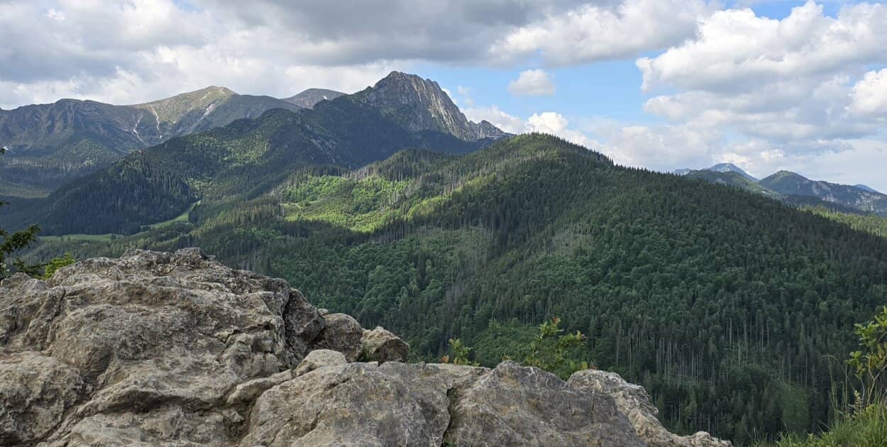 Zdjęcie