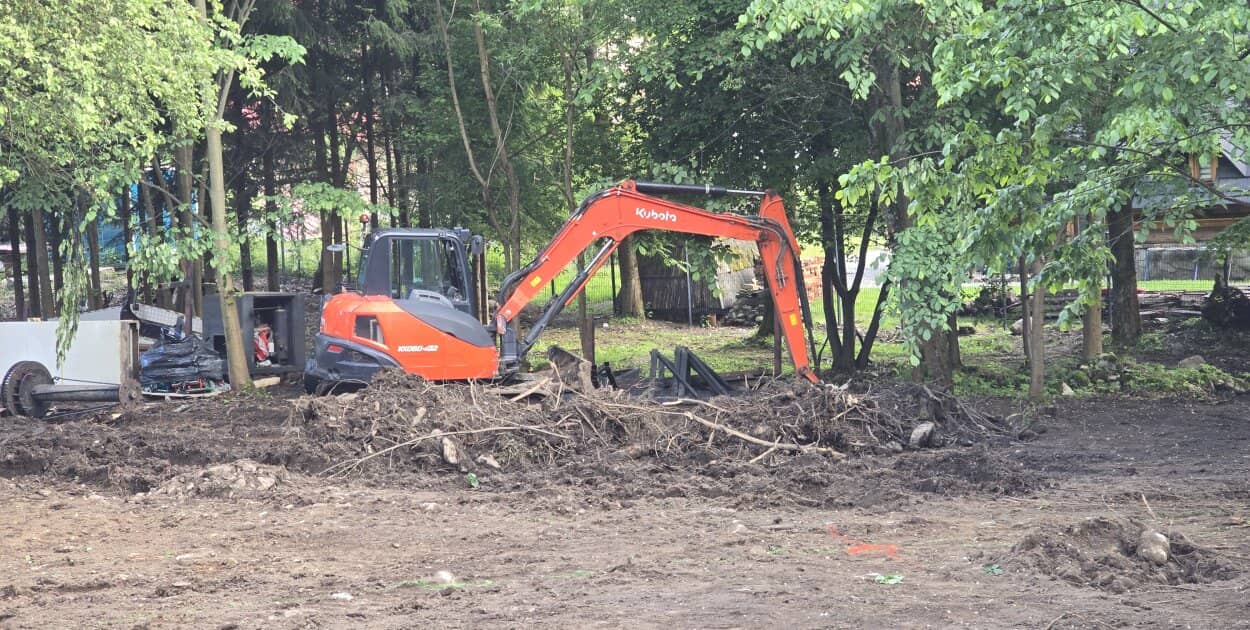 Zdjęcie