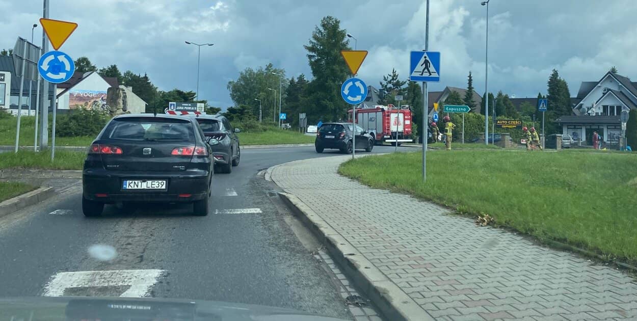 Zdjęcie