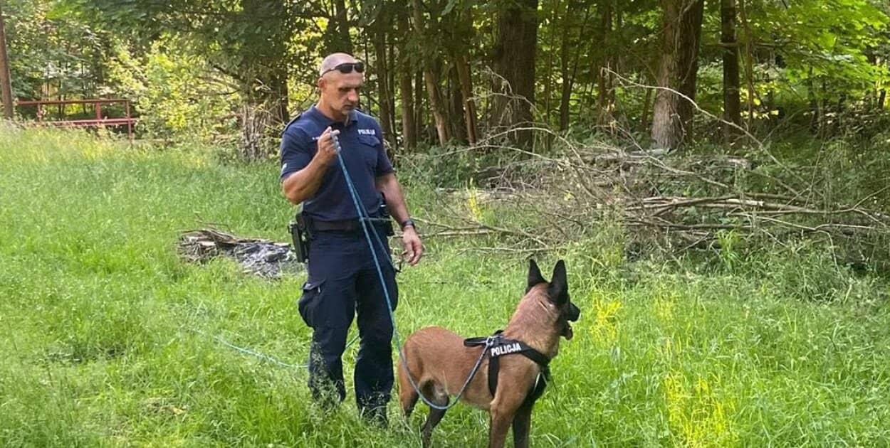 Zdjęcie