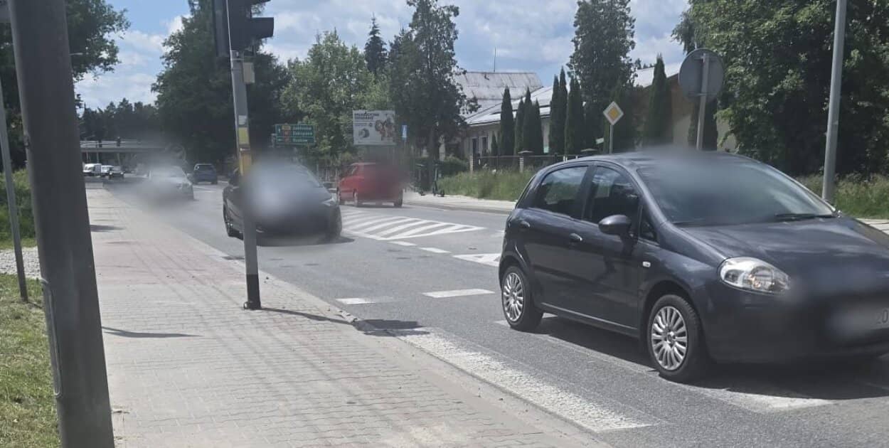Zdjęcie