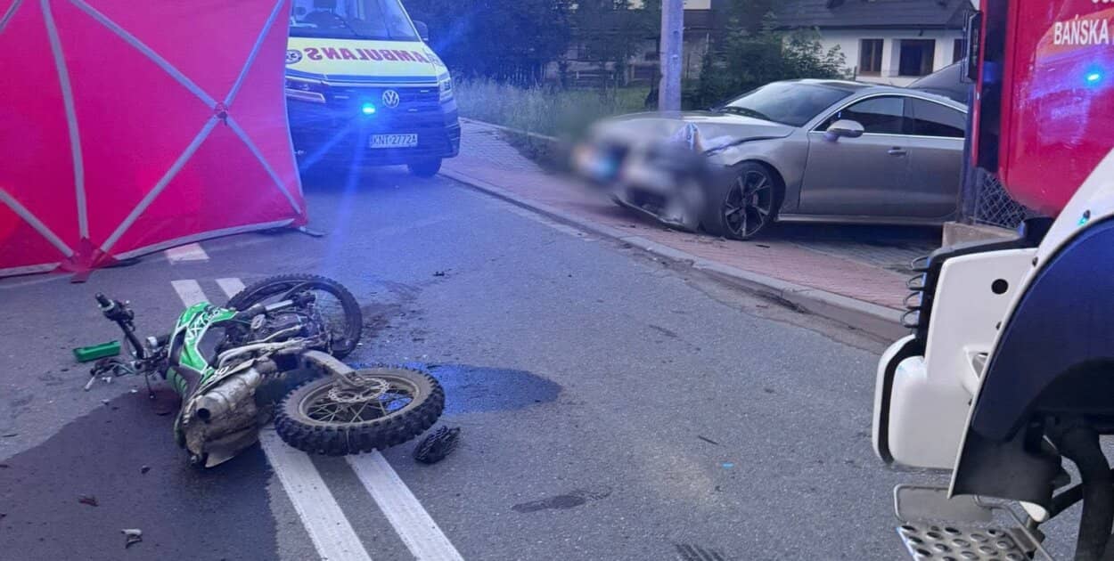 Zdjęcie