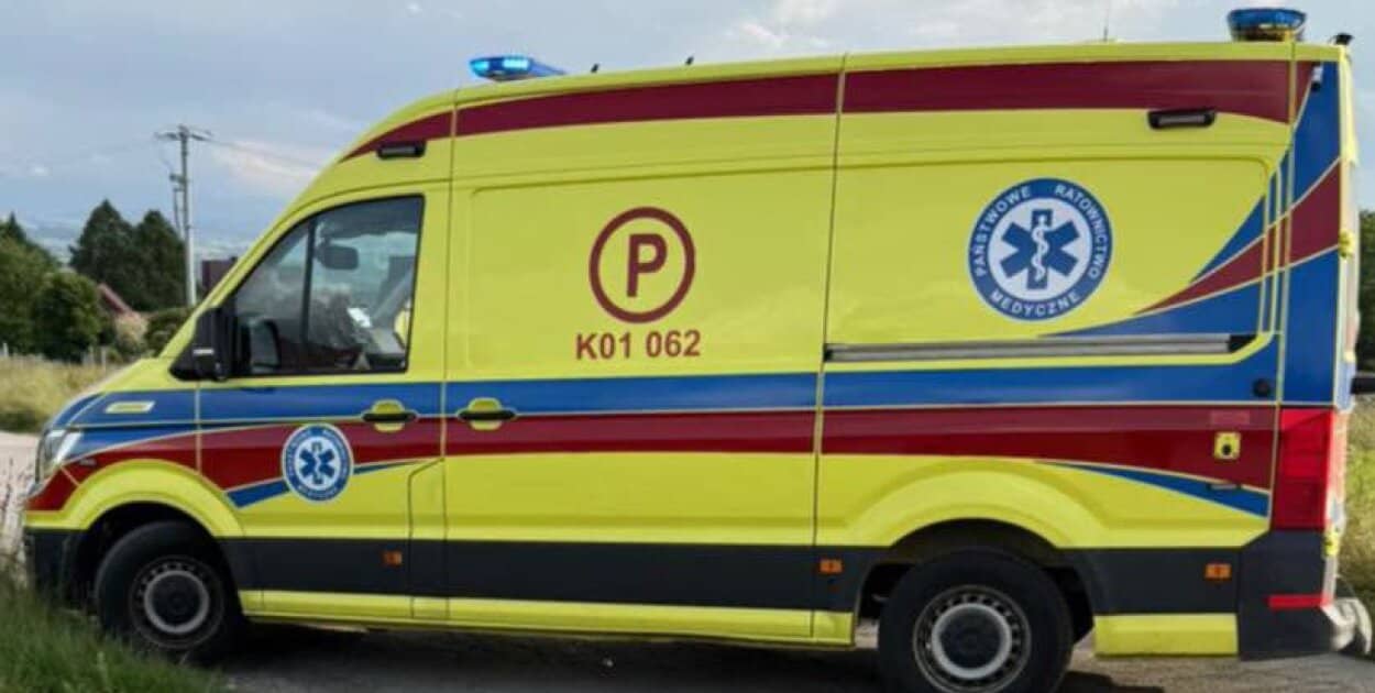 Zdjęcie