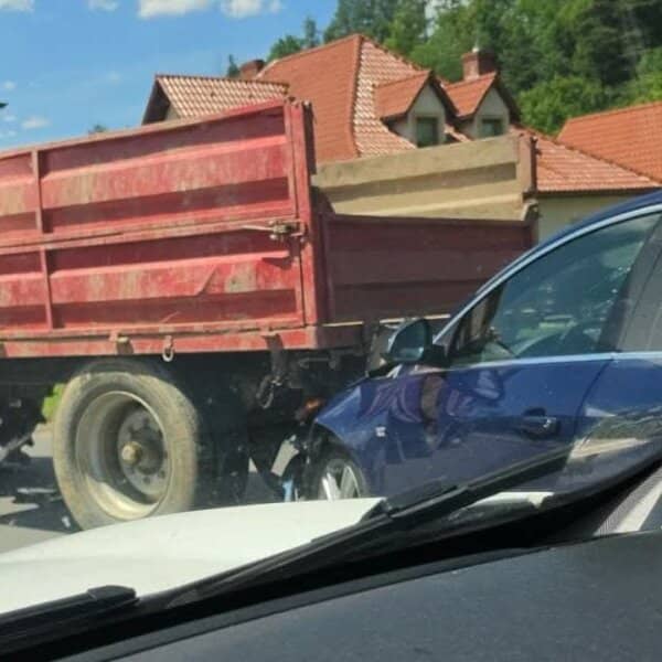Zdjęcie