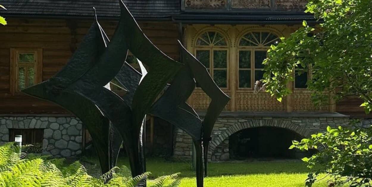 Zdjęcie