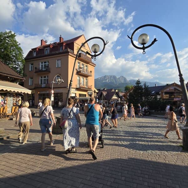 Zdjęcie
