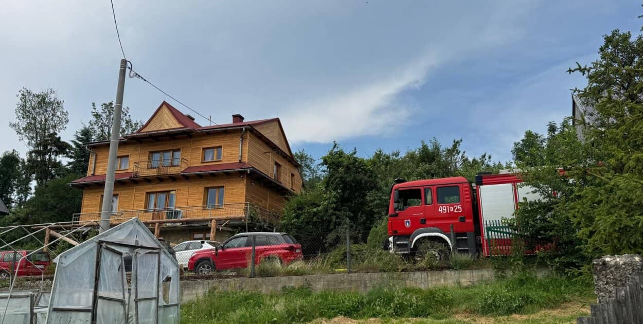 Zdjęcie