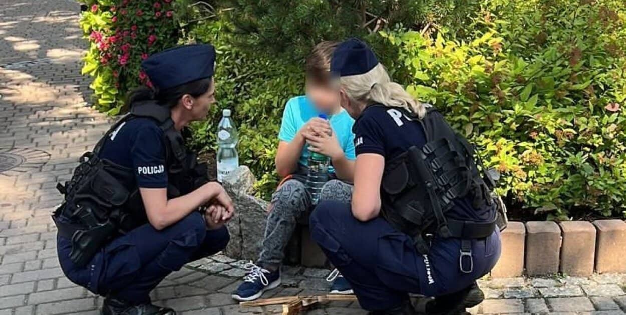 Zdjęcie
