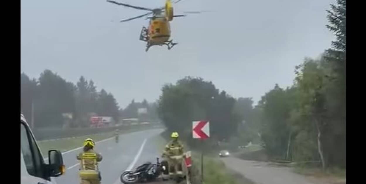 Zdjęcie