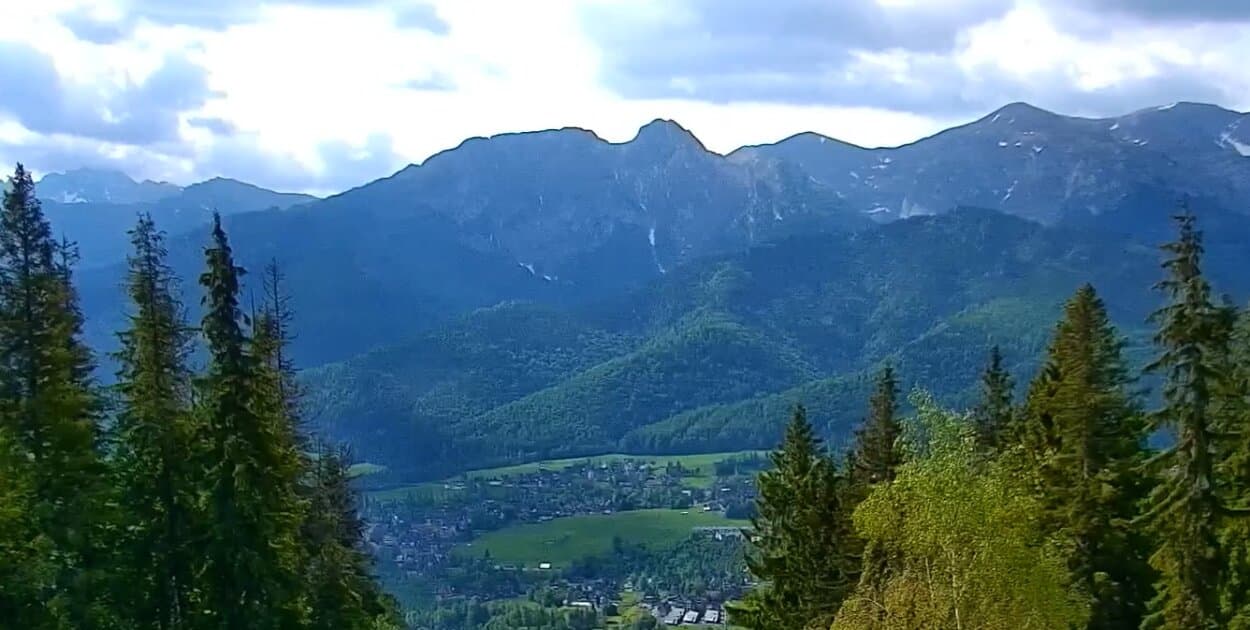 Zdjęcie