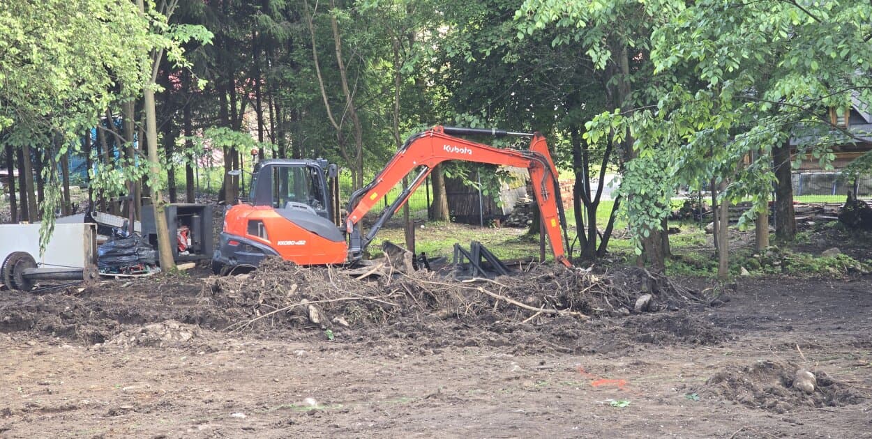 Zdjęcie