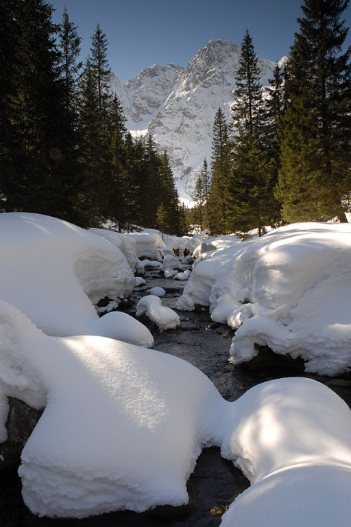 Poranek nad Morskim Okiem