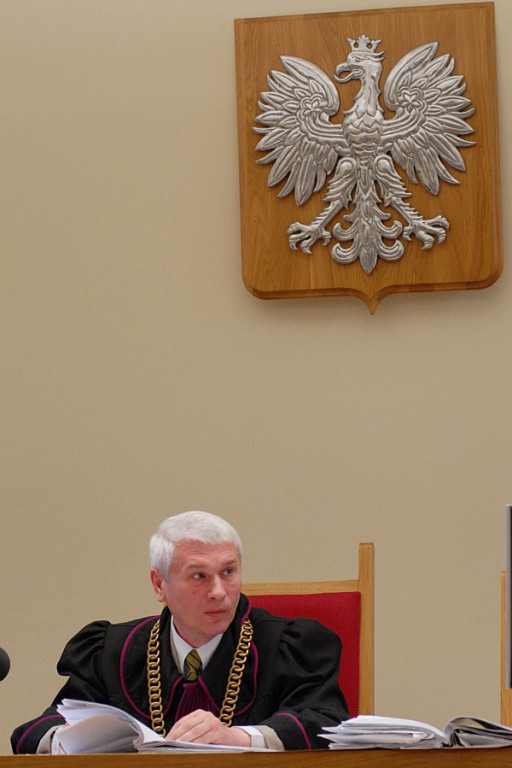 Początek procesu o zabicie misia w Tatrach