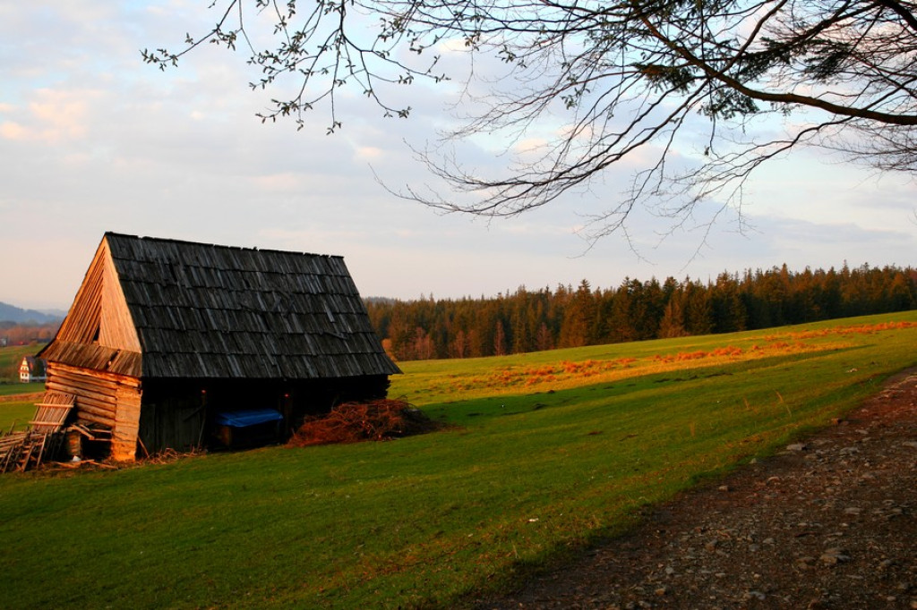 Tatry: Wieczór w Dolinie Strążyskiej