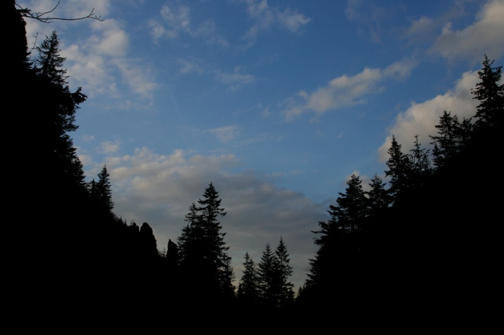 Tatry: Wieczór w Dolinie Strążyskiej