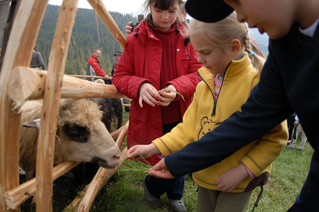 XXVII Święto Bacowskie - Małe Ciche, Tarasówka
