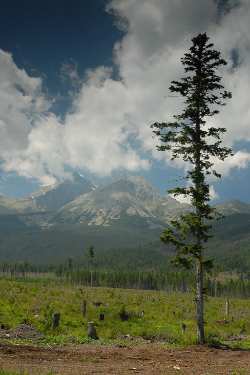 Łomnicki Szczyt (Lomnický štít) i Łomnicki Staw (Skalnaté pleso)