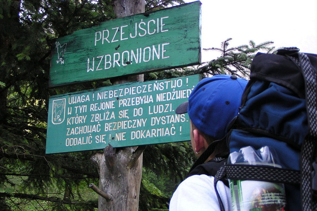 Wakacje: Turyści na górskim szlaku 7