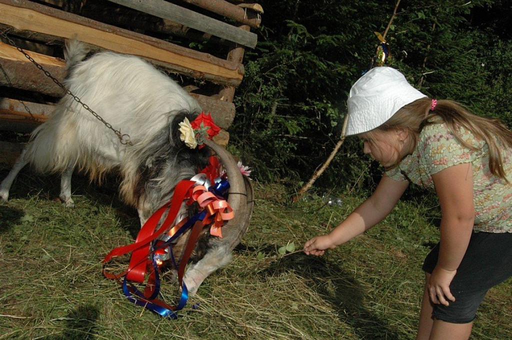 Lipnica Wielka: Wesele i pasterskie tradycje
