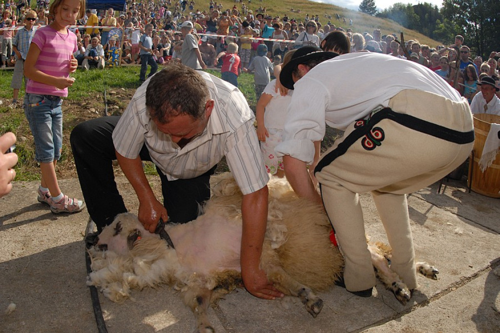 Szczawnica: Święto owiec i pasterzy - Redyk Jaworkach