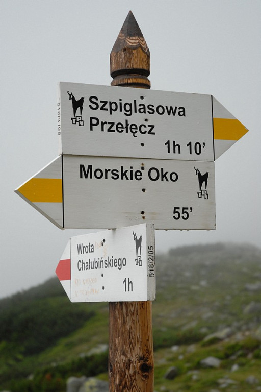 Wakacje: Turyści na górskim szlaku 6 - spacer na Szpiglasową Przełęcz
