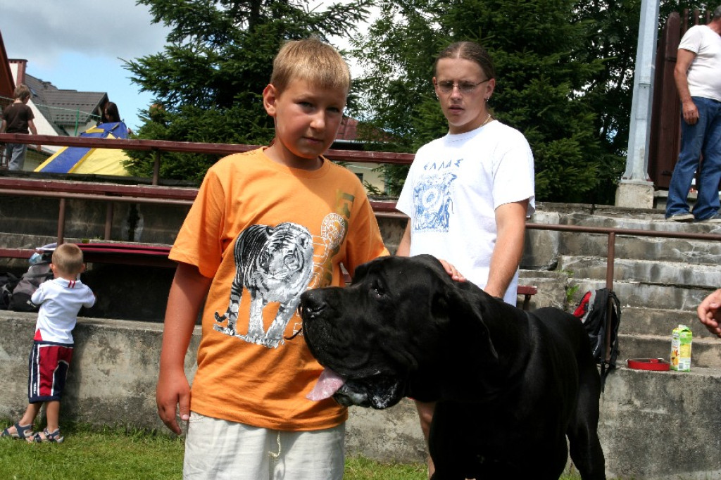 Wystawa Psów w Zakopanem