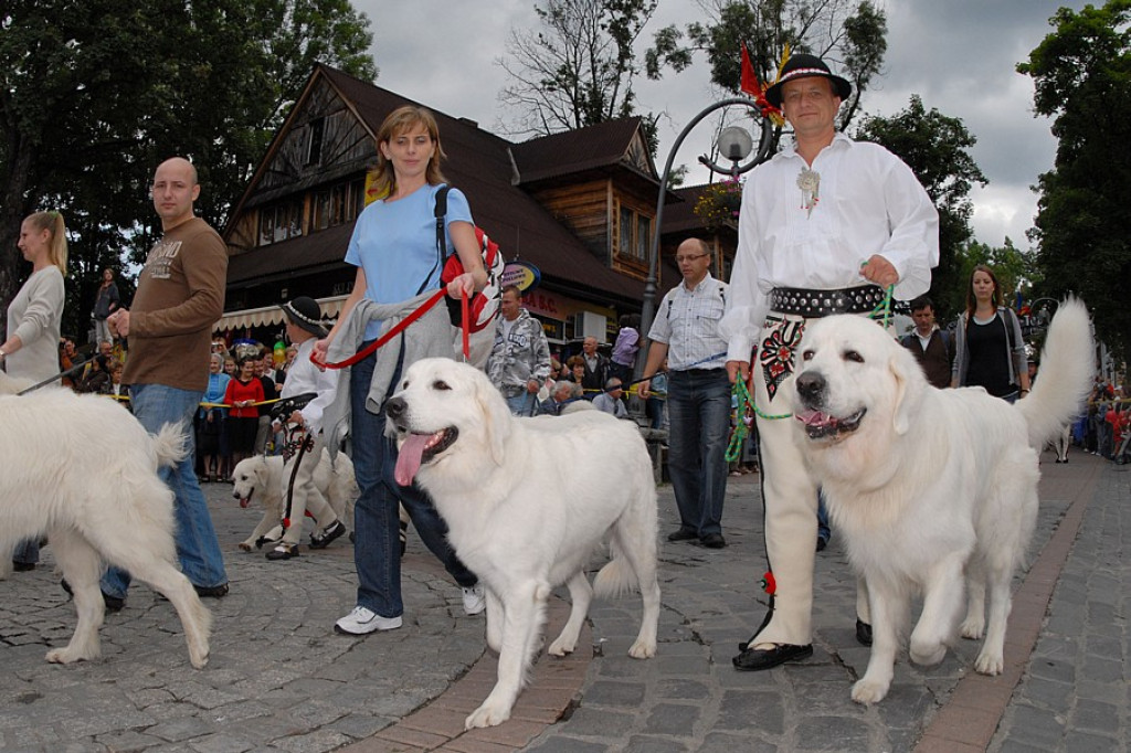 Parada z okazji XL Międzynarodowego Festiwali Folkloru Ziem Górskich