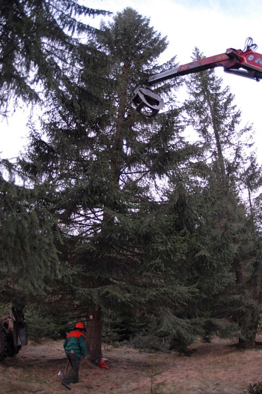 Zielony dar górali