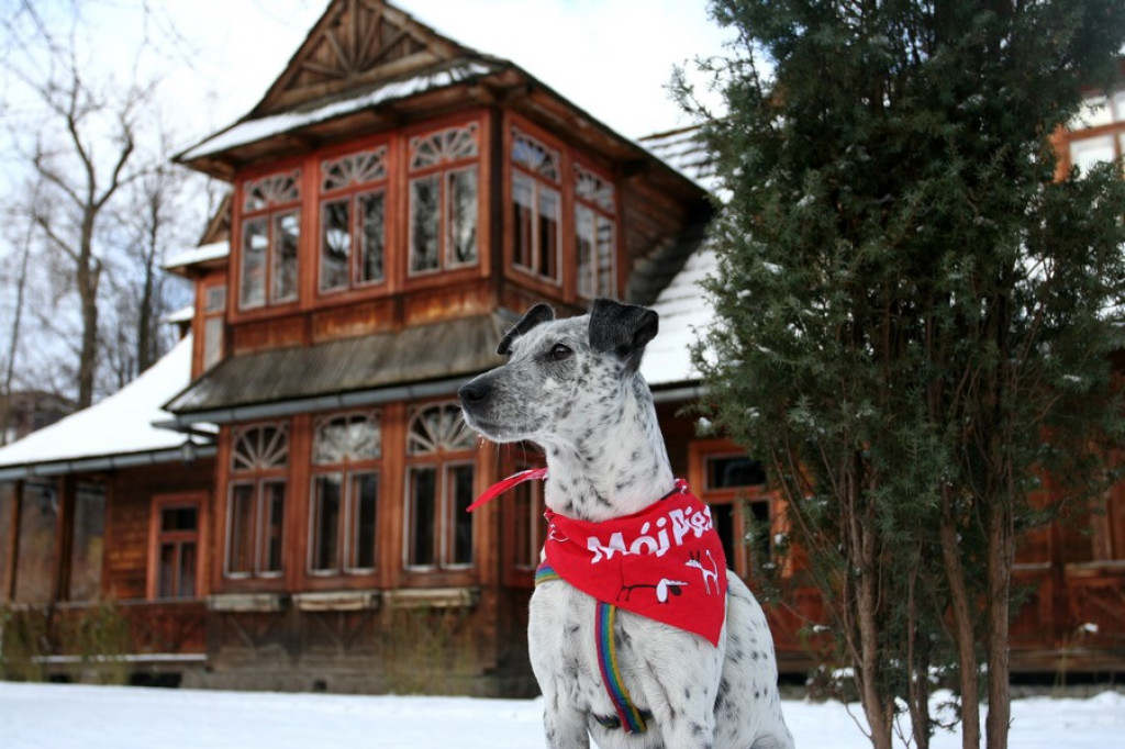 Zakopane i nasz pies
