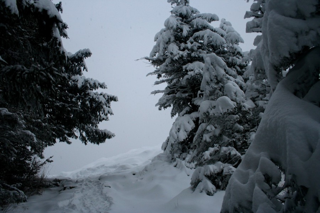Nosal zasypany. Zima wraca w Tatry