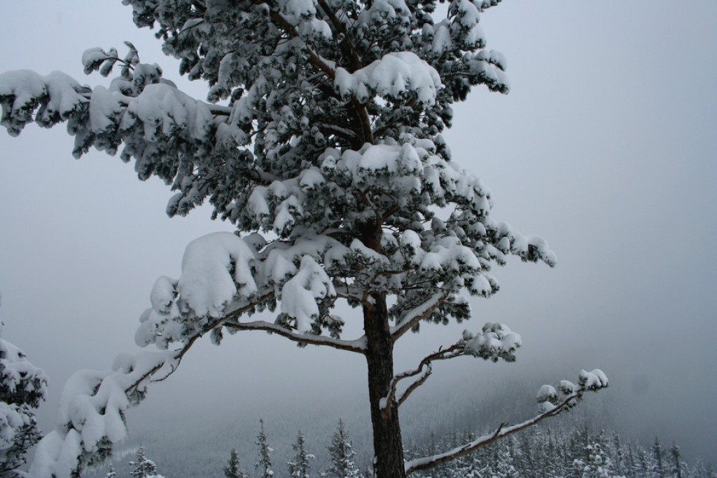 Nosal zasypany. Zima wraca w Tatry