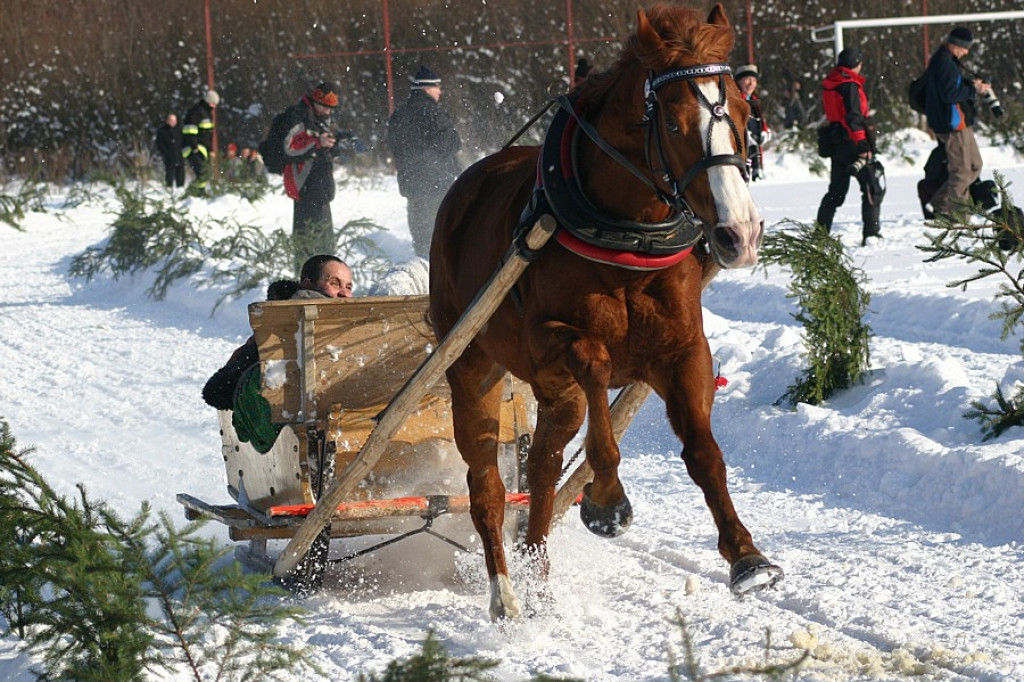 Kumoterska Gońba w Ludźmierzu