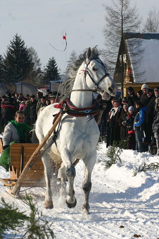 Kumoterska Gońba w Ludźmierzu