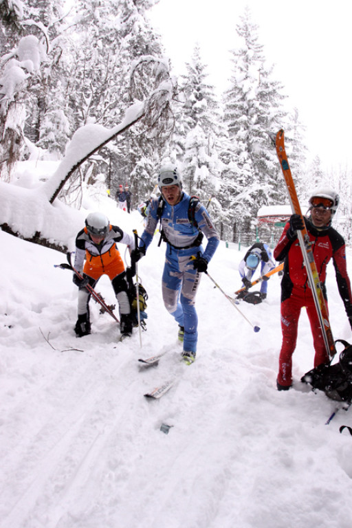Ski-alpiniści na trasie