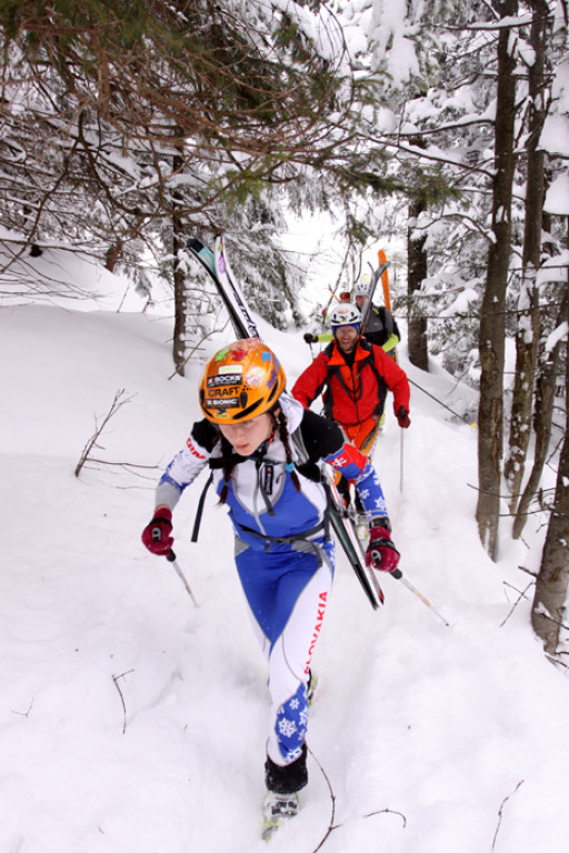 Ski-alpiniści na trasie