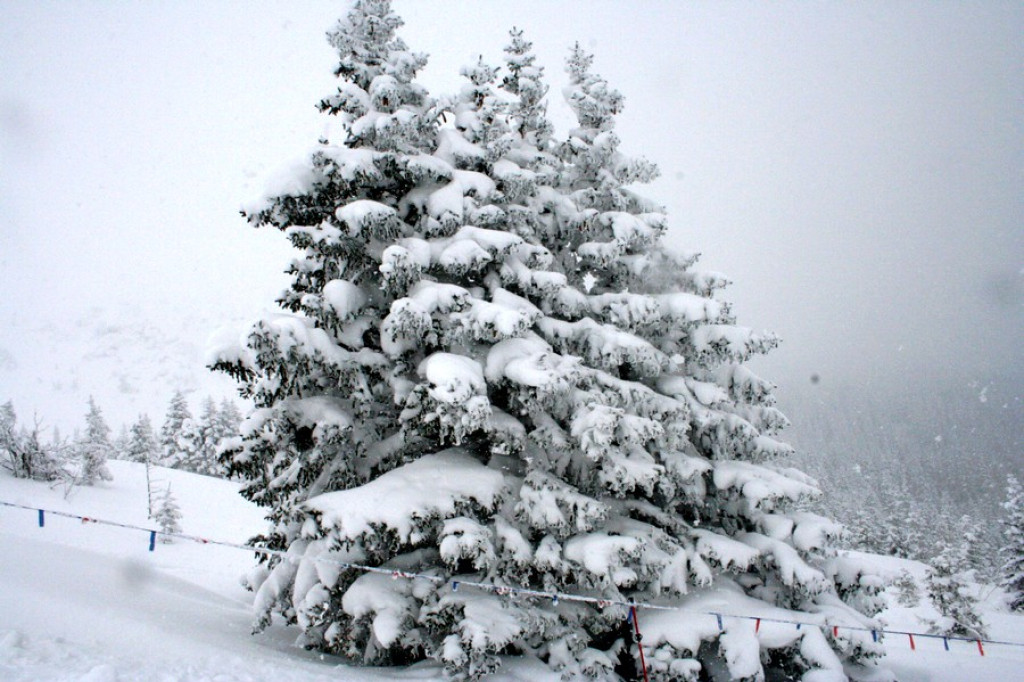 Zasypane Tatry
