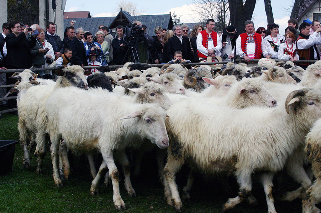 Ludźmierz: Święto Bacowskie