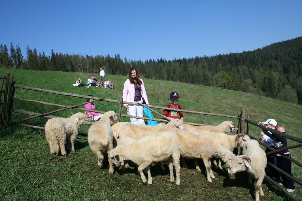 Bacowskie święto w Małem Cichem