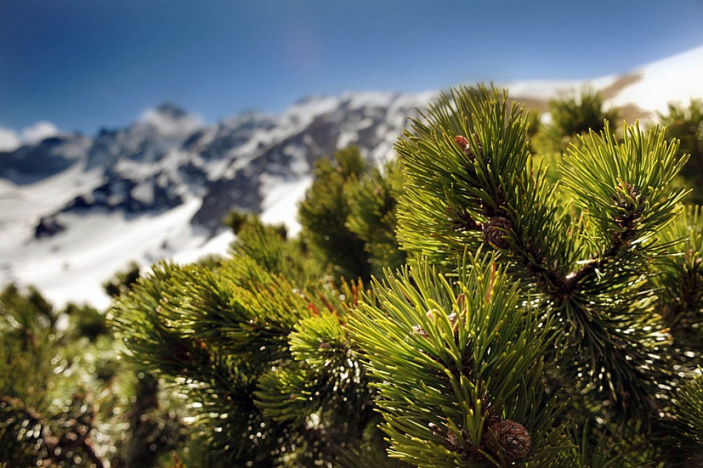 Wiosna powoli zdobywa Tatry