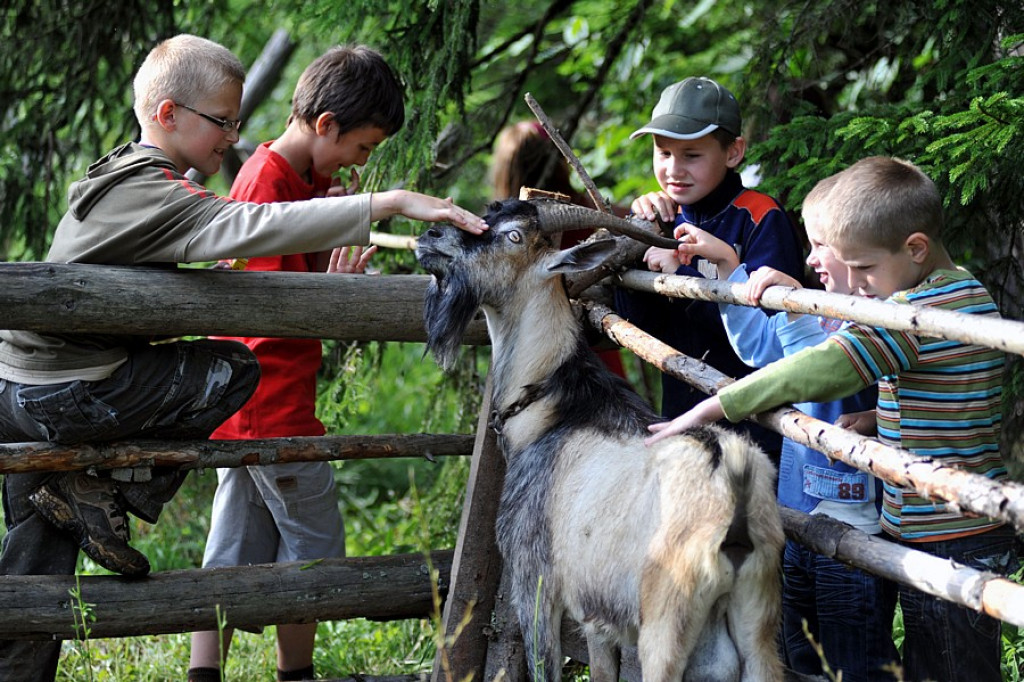 Lipnica Wielka: XXXV Święto Pasterskie