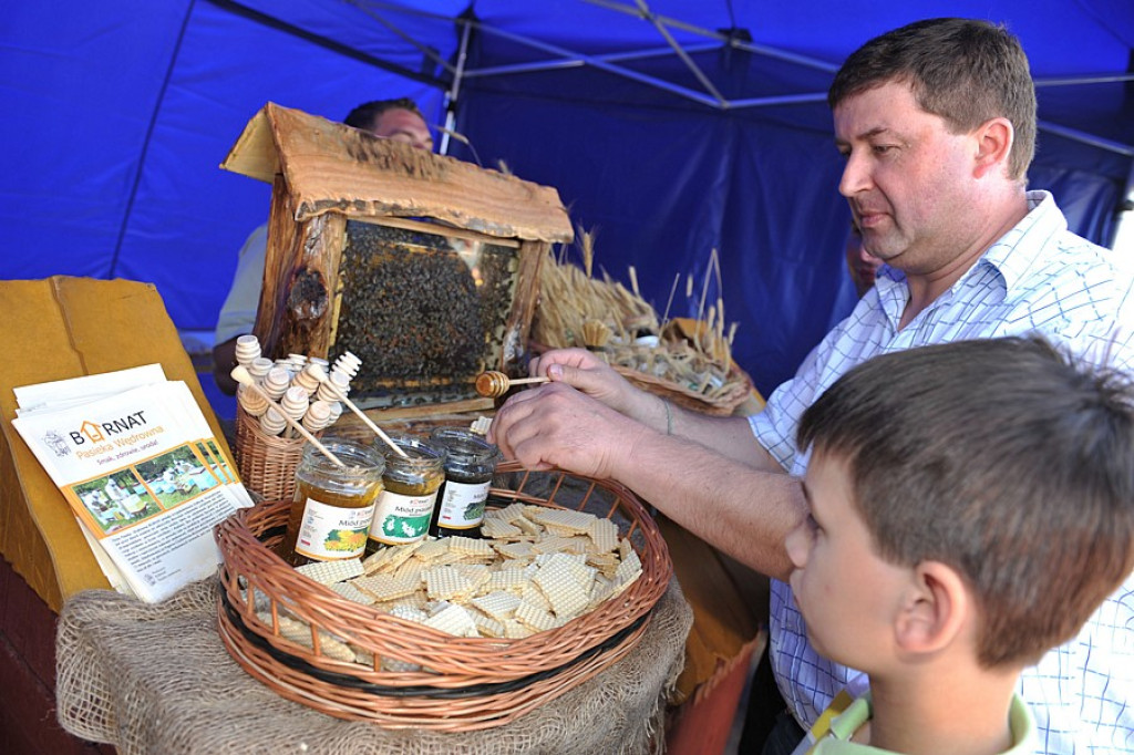 Nowy Targ: Festiwal Smaku i wspólne lizanie lodów