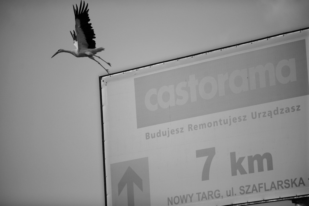 Podhale w czerni i bieli