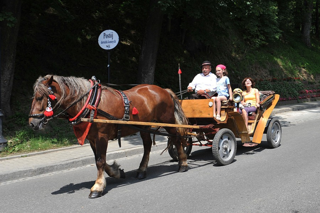 Szczawnica: krótka wycieczka po mieście