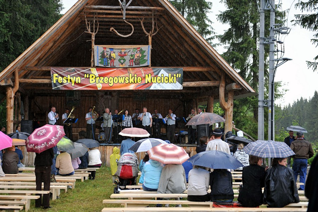 Festyn w Brzegach