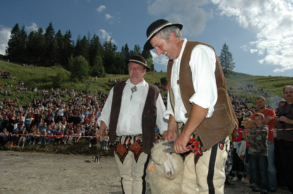 Szczawnica: Redyk w Jaworkach