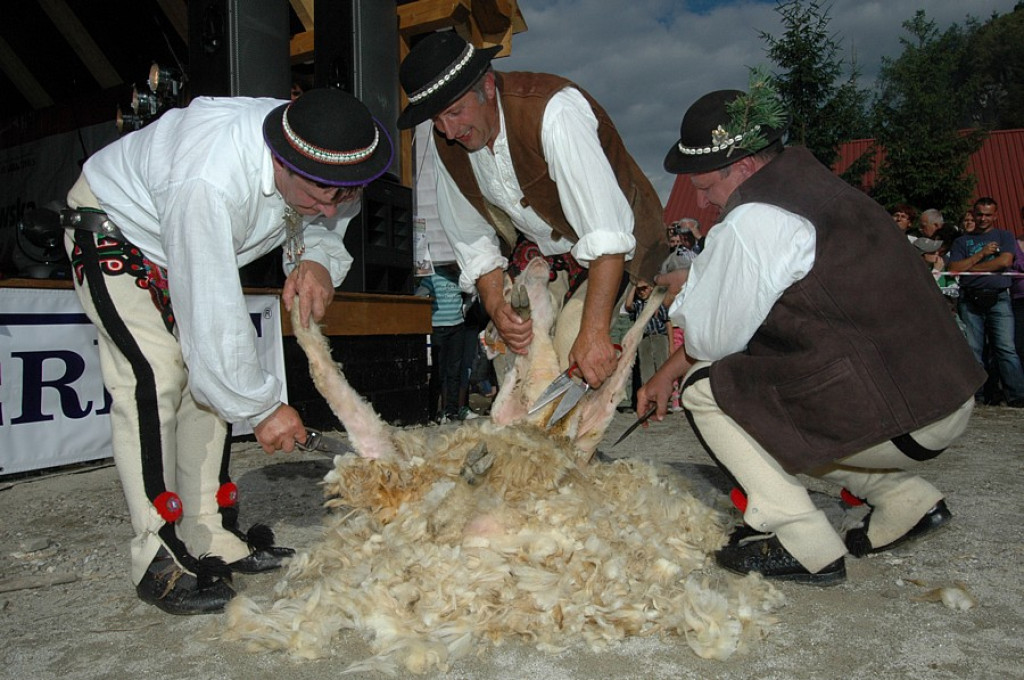 Szczawnica: Redyk w Jaworkach