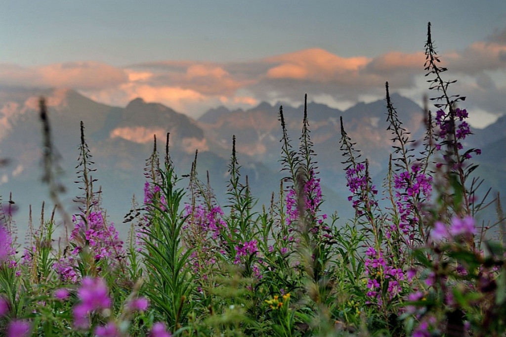 Podhale w fotograficznym skrócie