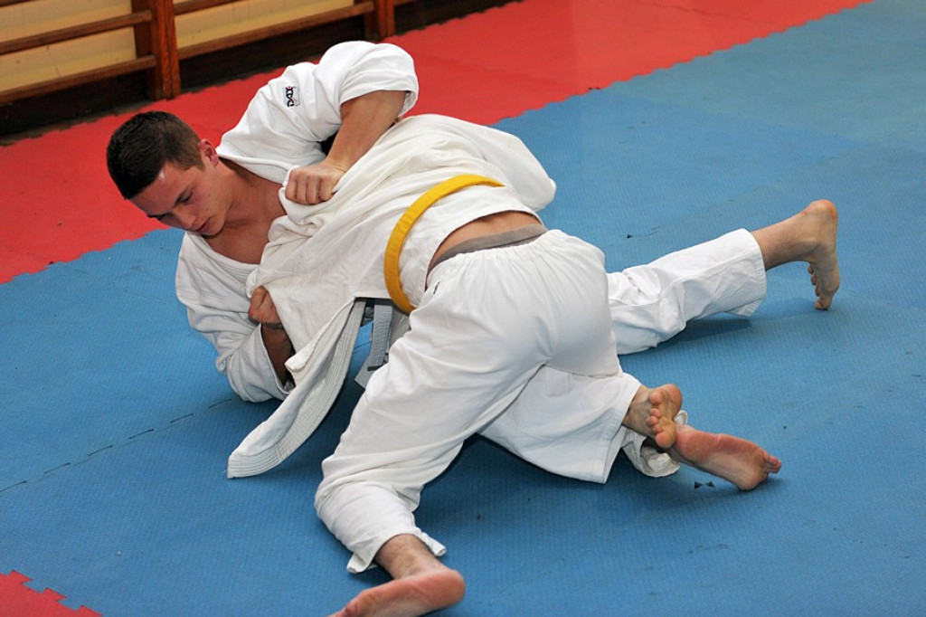 Podhalańska Liga Judo