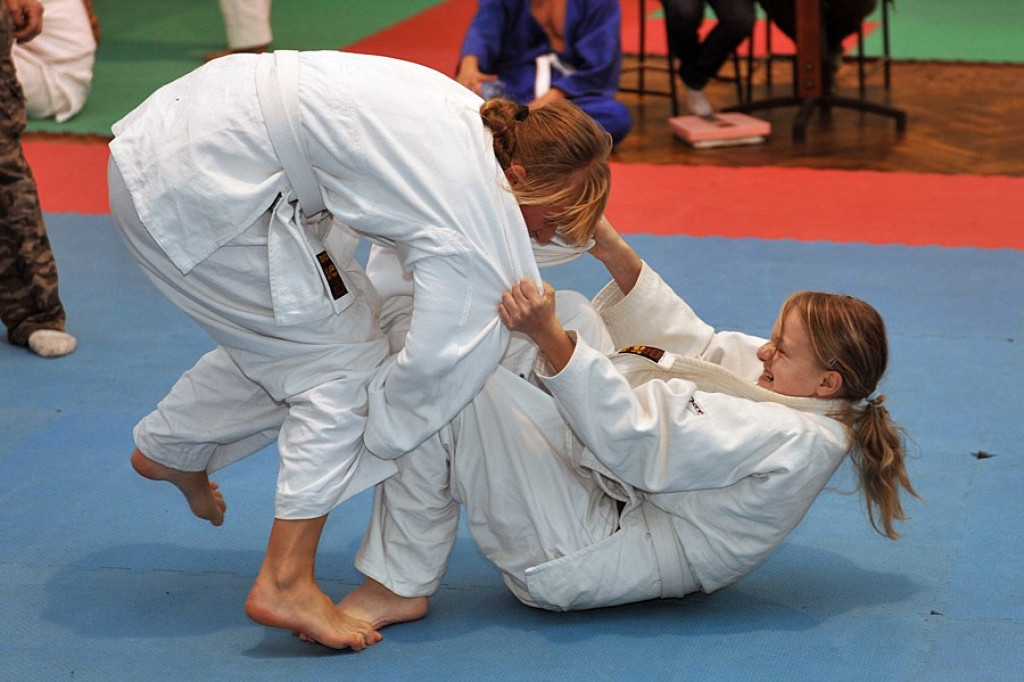 Podhalańska Liga Judo